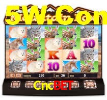 Cncbet App Interface