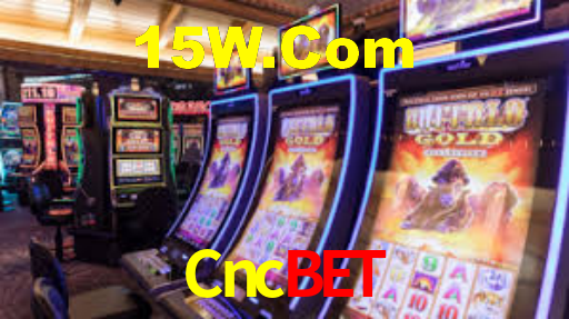 Experimente o Login Seguro Premium no Cncbet