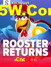 Player Reviews Cncbet